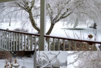 Winter’s Icy Grip: 2014