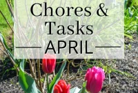 Your Essential April Garden Plan for PNW Climates