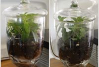 Revamp Your Space for Spring: Decor & A Quick Terrarium