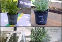Dollar Store Chalkboard Pot Makeover