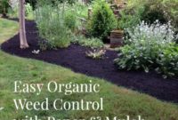 Effortless Organic Weed Control: The Paper & Mulch Method (Video)