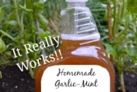 Effective DIY Natural Insect Spray for Thriving Plants