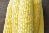 The Ultimate Guide to Freezing Corn: Blanched, Raw, and Whole Cob Methods