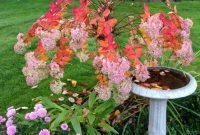 November Garden Prep: A PNW Checklist for Winter