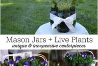 Effortless Live Plant Displays in Mason Jars