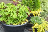 7 Secrets to All-Season Container Blooms