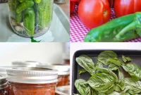 Garden-Fresh All Year: 36+ Ways to Preserve Vegetables by Freezing, Drying, Canning, and Fermenting