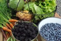 July’s Bounty: Fruits and Vegetables