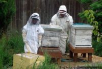 Thinking About Bees 7 Beekeeping Considerations From An Expert