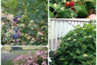 June’s Garden Delights: Flowers, Fruits, and Vegetables