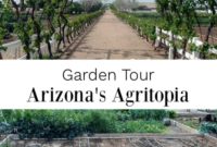 Cultivating Community Agritopia Gardens Arizona
