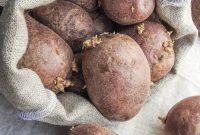 7 Smart Uses for Sprouted Potatoes