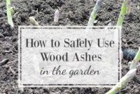 Gardening with Wood Ash Unlock Its Power Responsibly