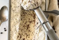 Effortless No Churn Chocolate Chip and Mint Ice Cream