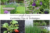 Effortless Gardening Tips and Tricks