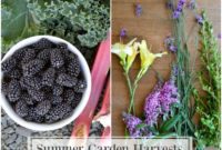 From Plot to Plate: Savoring Summer’s Yield