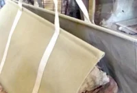 Craft Your Own Canvas Log Carrier