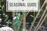 Korkmadan Çalı Budayın Ücretsiz Uzman Rehberi