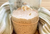 6 Sourdough Starter Secrets for Longevity and Peak Performance