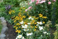 Achieve Vibrant Fall Colors with Summer Pruning and Deadheading