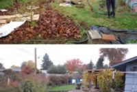 Your Yard’s Renaissance: A Breathtaking Outdoor Transformation