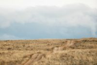 Our Family’s Five Must-Do Annual Traditions