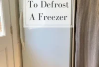 Frozen Solid? How to Defrost Your Freezer and Why You Should
