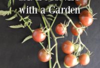 Budget Gardening 10 Plants That Pay You Back