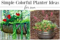 Sun-Kissed Planters: Vibrant Color Ideas