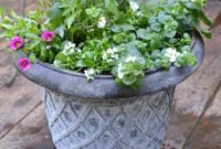 Bright & Easy: Sun-Loving Pot Designs with Everyday Nursery Finds