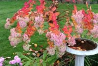 Ultimate Fall and Winter Garden Prep Checklist