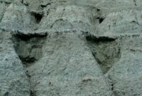 Oregon’s Fossilized Wonders Our Cottage Road Trip to John Day