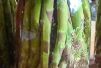 Mastering Pickled Asparagus A Simple Canning Tutorial