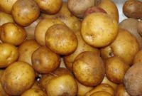 Keep Your Homegrown Potatoes Fresh Longer