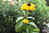 Rustic Galvanized Autumn Planters