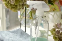 Cleaning Concentrates Kit: Unlock Smarter, Greener Cleaning