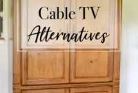 Cutting the Cord: Best Shows and Binge Bites