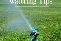 Keep Your Garden Thriving: Summer Watering Essentials