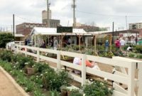 Cultivating Spring Gardens, Magnolia Style