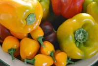 Tatlı Biber Rehberi: Yetiştirmeden Saklamaya Tüm Sırlar