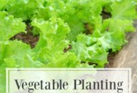 Autumn’s Bounty: Essential Vegetables for Your Fall Garden