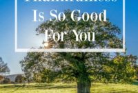 Episode 53 Finding Joy Through Gratitude Life Updates and Comfort Food Deep Dive