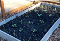 The Ultimate Vegetable Garden Blueprint