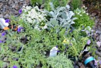 3 Genius Container Gardening Ideas and Must-Know Tips