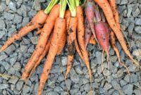 Carrot Mastery: Growing, Preserving, and 62 Irresistible Recipes