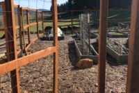 Your Mid-Spring Garden Roadmap