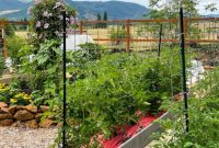 Simple Secrets to Perfectly Trellised Tomatoes