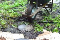 Mulching Your Garden: Everything You Need to Know