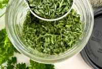 Drying Parsley Made Simple Oven Dehydrator Air