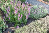 My 2023 Garden Story Successes Failures Next Steps